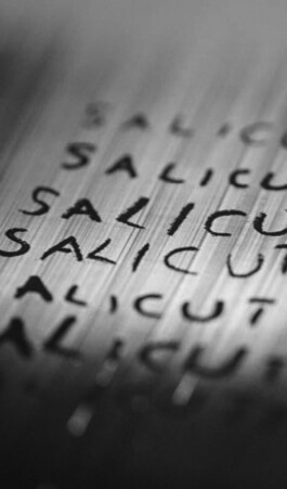 Buero Flo - Grafik, Design & Produktion